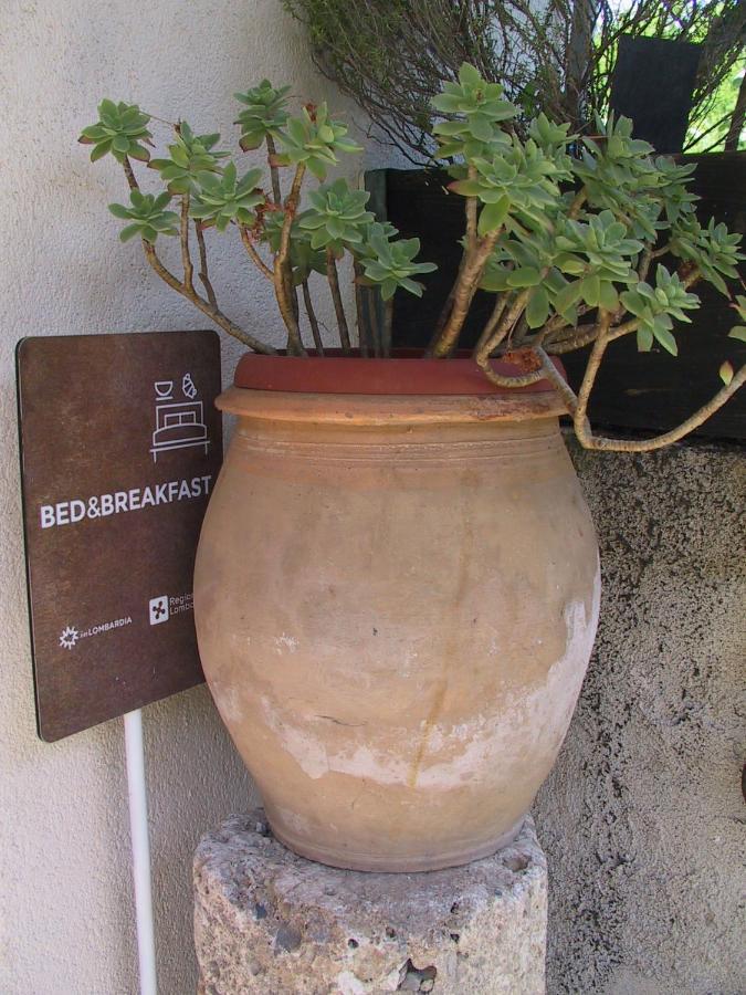 B&B Il Rustico Turate Exterior photo